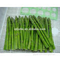Great quality /New crops frozen green asparagus